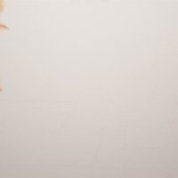 the pawn progress 01 